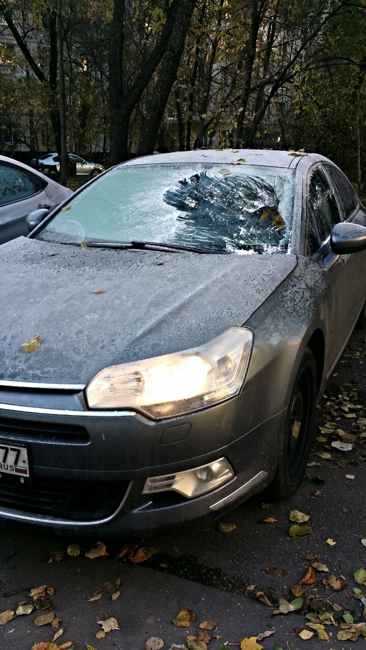 Фото в бортжурнале Citroen C5 (2G)