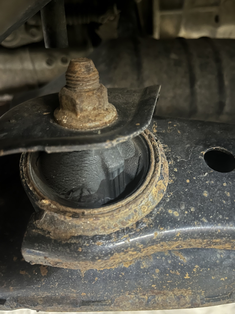 Фото в бортжурнале Subaru Outback (BR)
