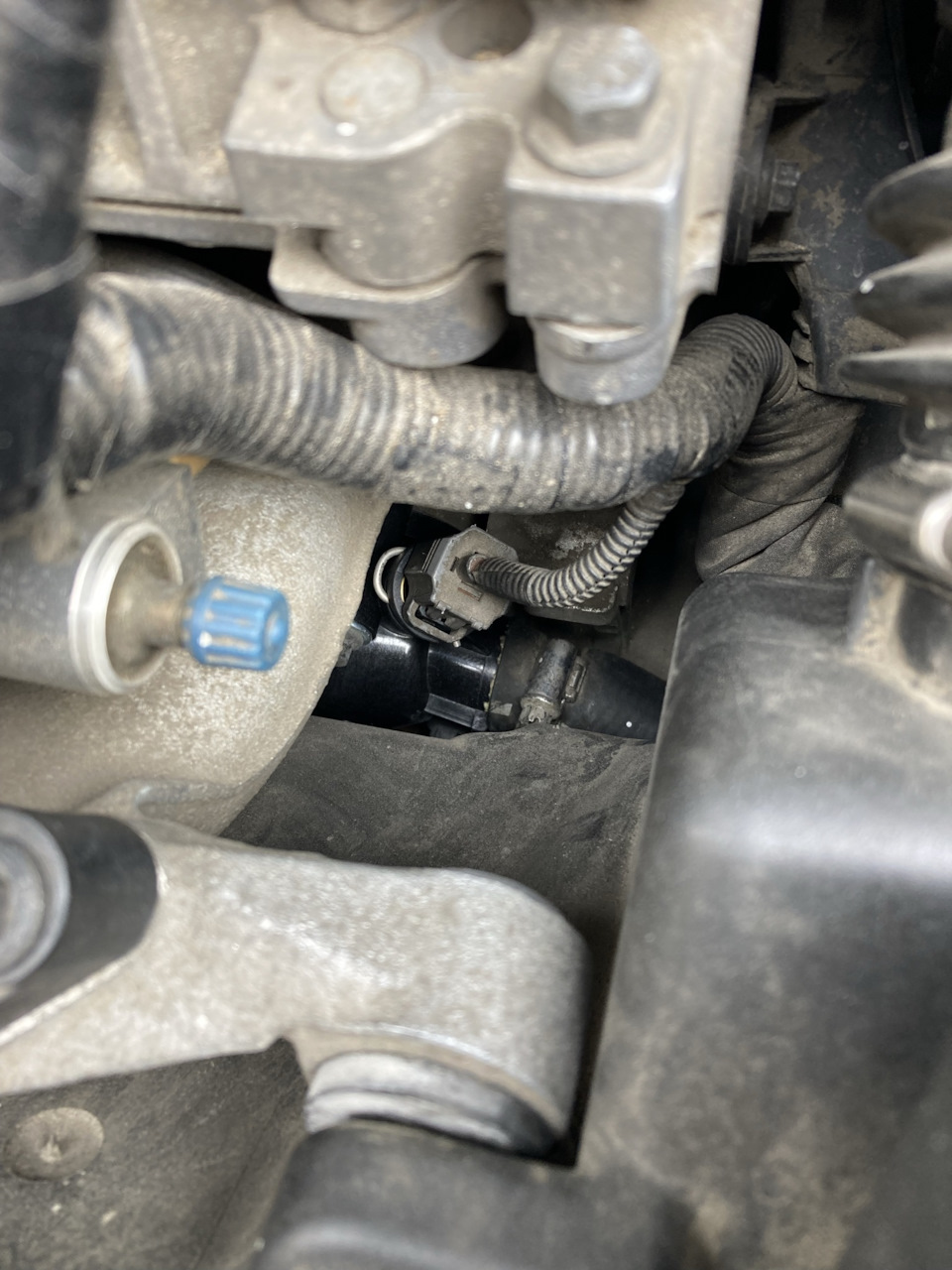 Фото в бортжурнале Volvo C30