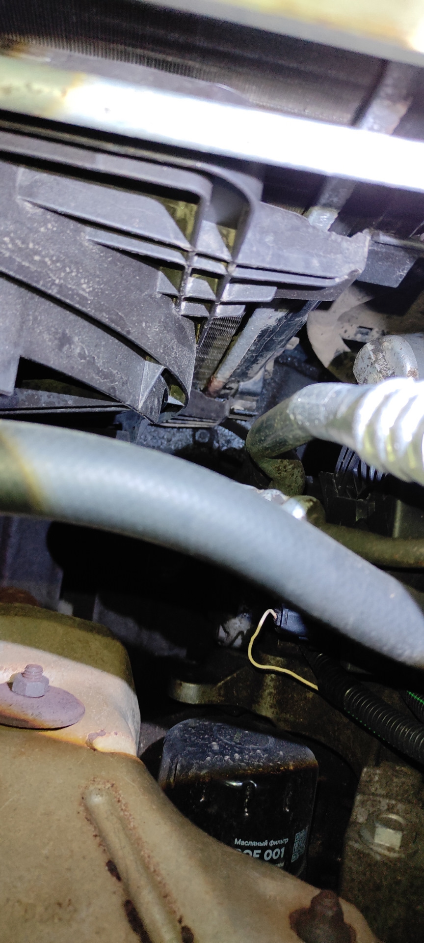 Фото в бортжурнале Renault Logan (1G)