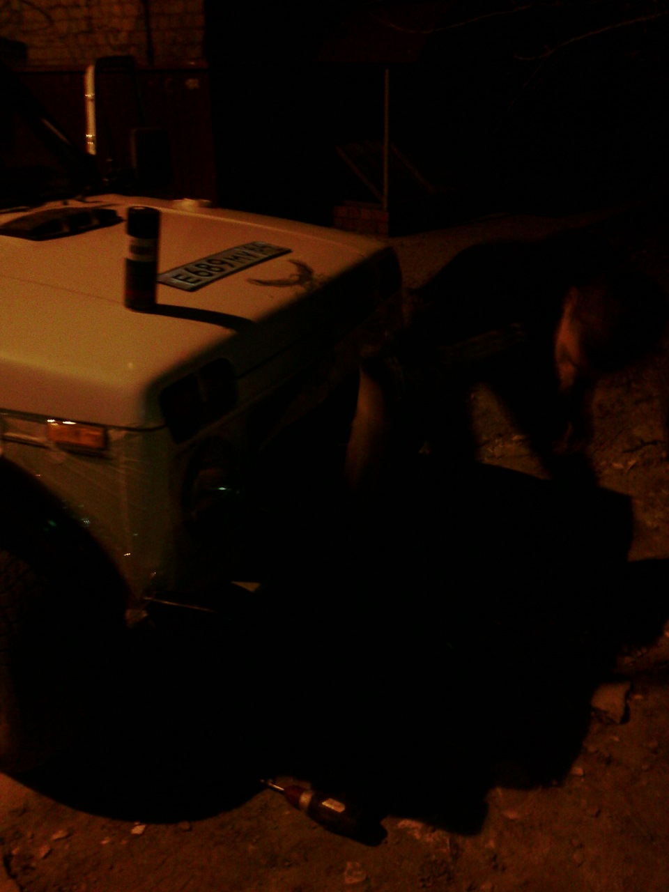 Фото в бортжурнале Lada 4x4 3D