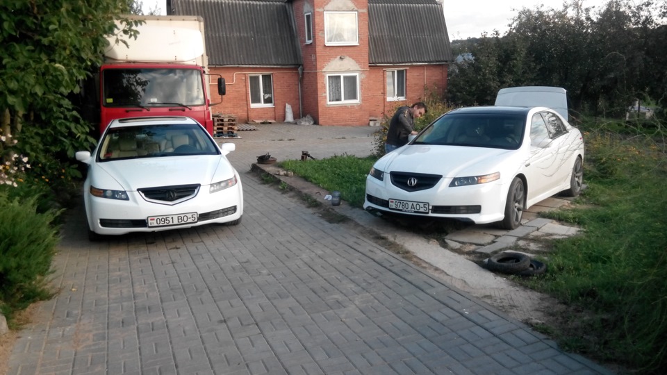 родственники 100% =) — Acura TL (3G)