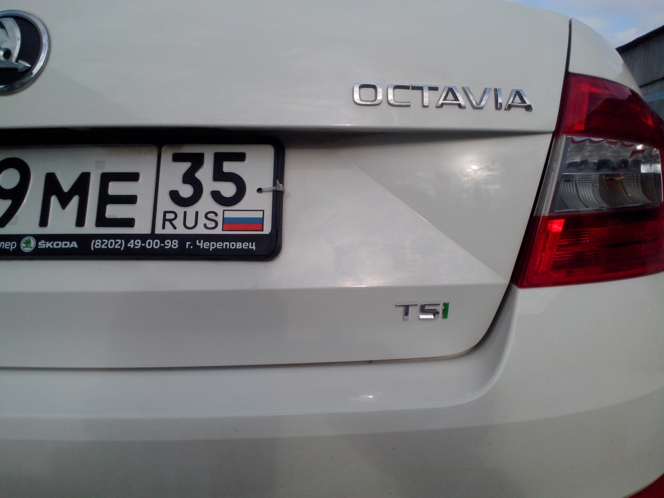 Фото в бортжурнале Skoda Octavia A7 Mk3