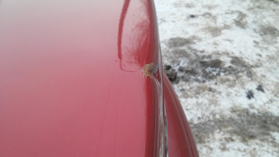 Фото в бортжурнале Mitsubishi Lancer X