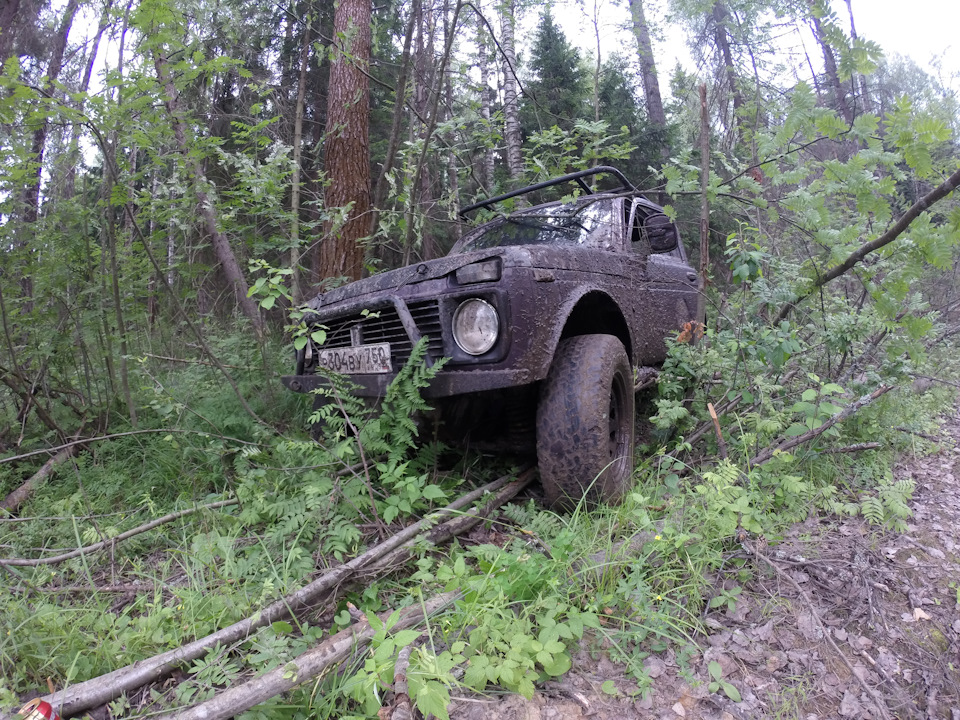 валим лес) — Lada 2329
