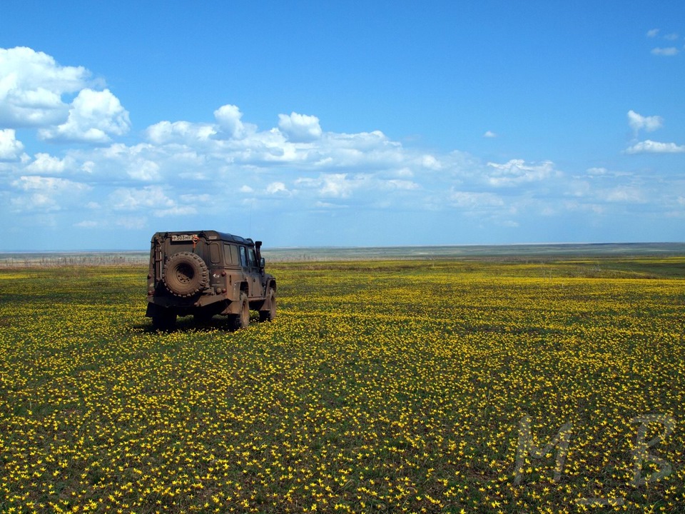 Фото в бортжурнале Land Rover Defender (L315/L316)
