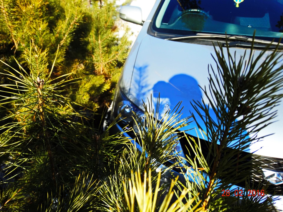 Фото в бортжурнале Toyota Allion (T260)