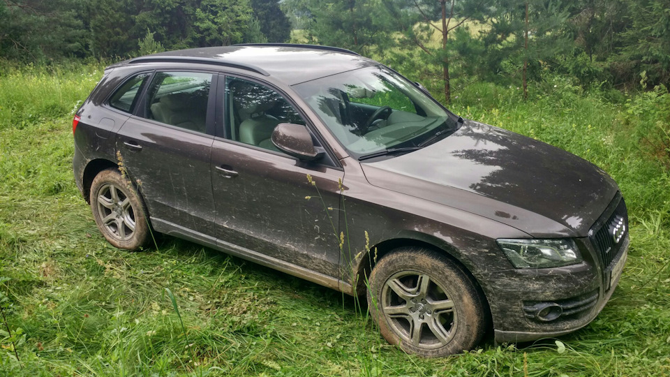 Audi Q5 - Купяшечка «Киви»