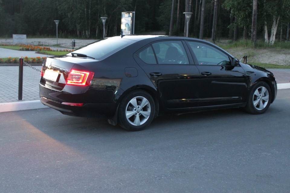 Фото в бортжурнале Skoda Octavia A7 Mk3
