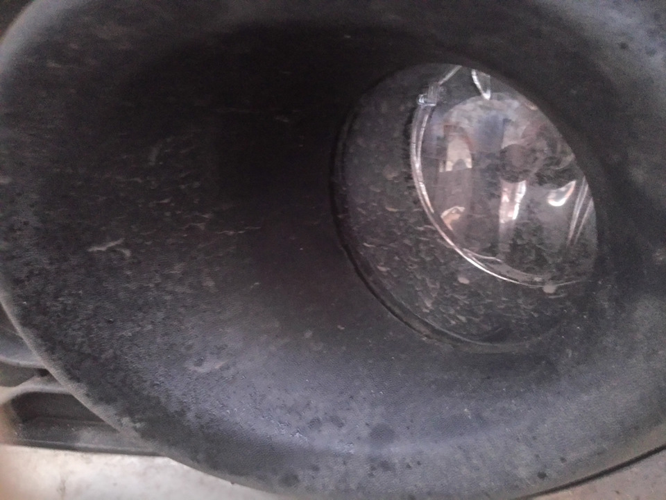 Фото в бортжурнале Renault Sandero 2G
