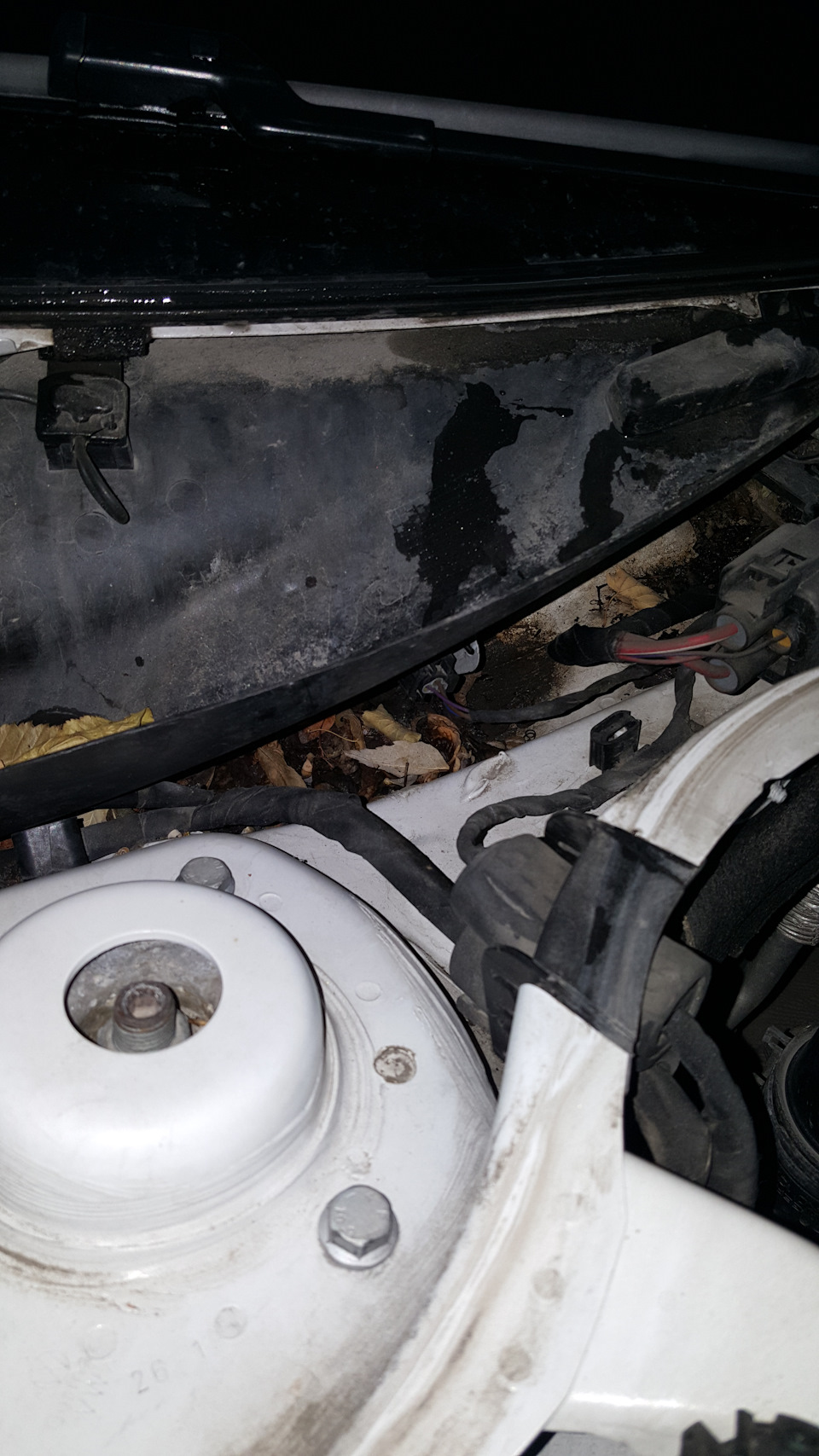 Фото в бортжурнале Volkswagen Passat CC