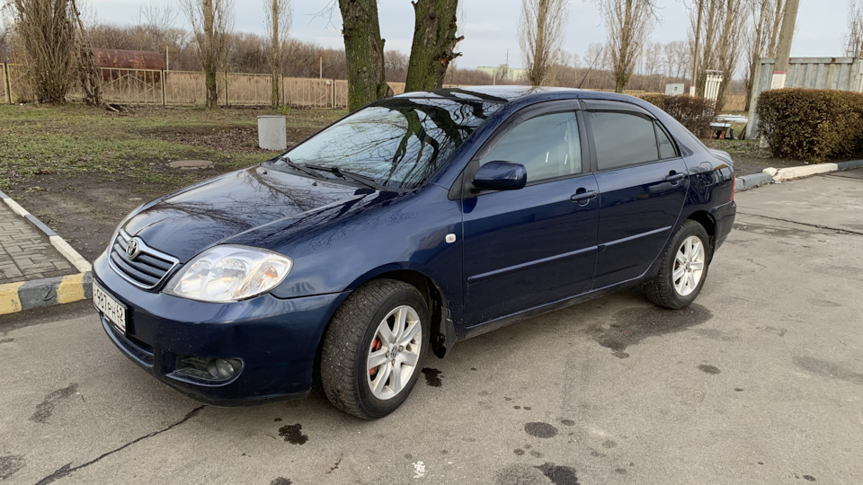 Toyota Corolla Blue Project