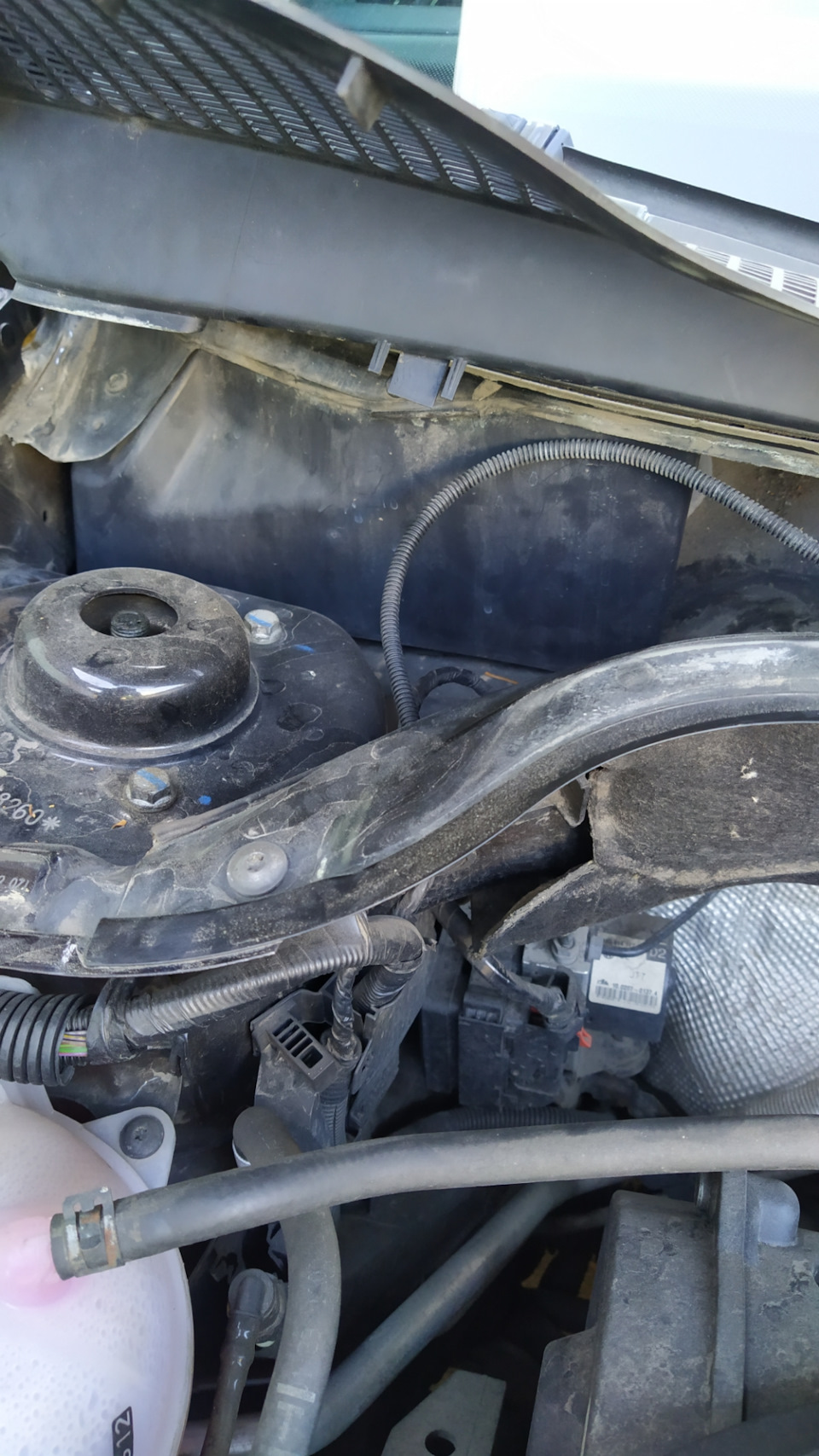 Фото в бортжурнале Skoda Octavia A5 Mk2