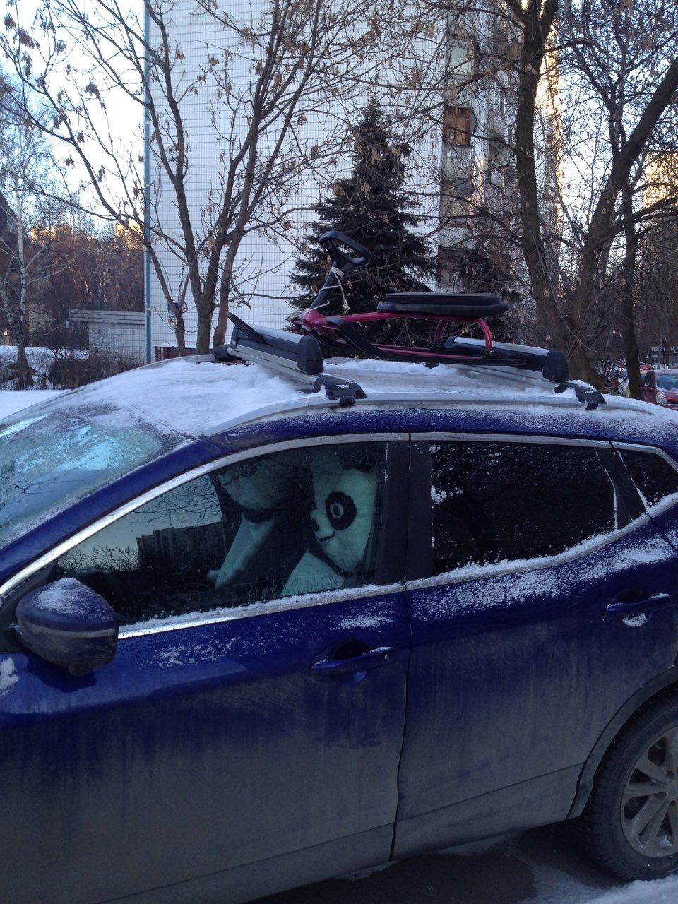 Фото в бортжурнале Nissan Qashqai (2G)