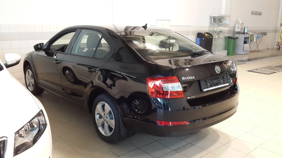 Фото в бортжурнале Skoda Octavia A7 Mk3