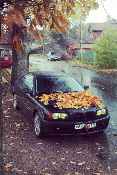 Фото в бортжурнале BMW 3 series Coupe (E46)