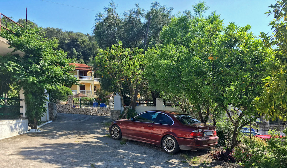 Запарковать авто под лимонными деревьями — бесценно :) — BMW 3 series Coupe (E46)