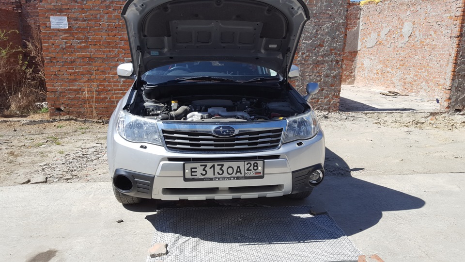 Фото в бортжурнале Subaru Forester (SH)