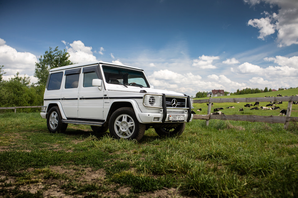 Фото в бортжурнале Mercedes-Benz G-Class (W463 1G)