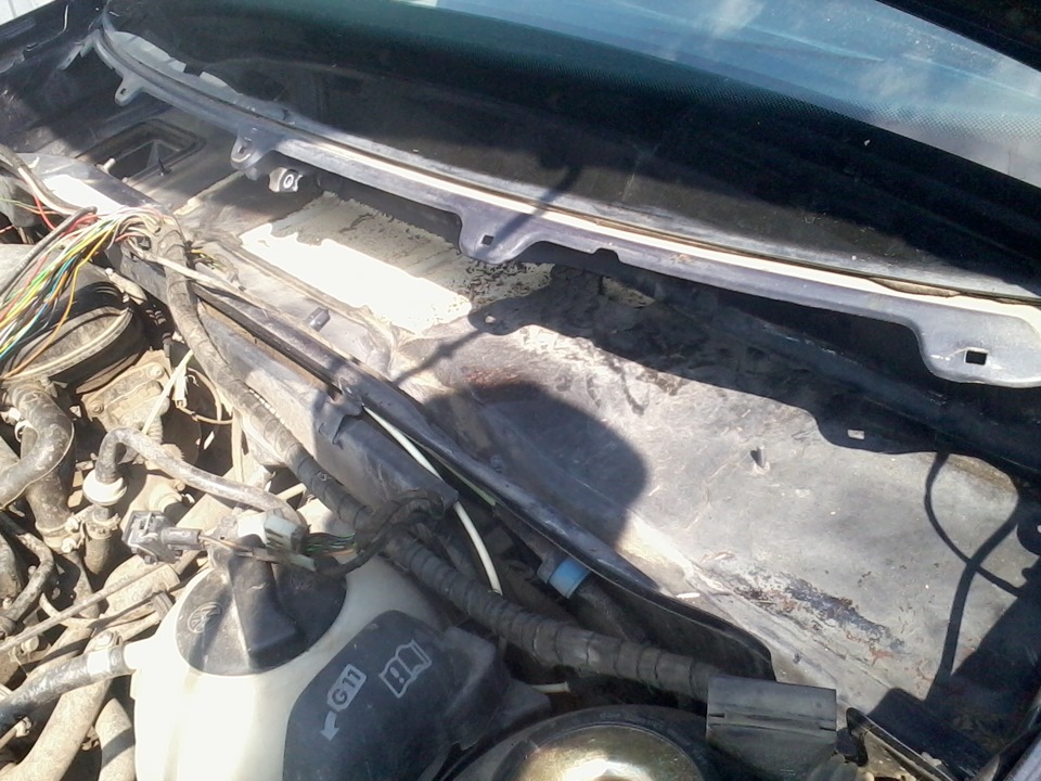 Фото в бортжурнале Volkswagen Golf Mk3