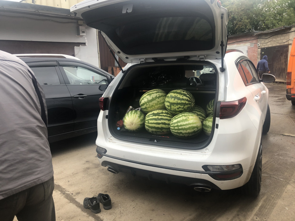 Фото в бортжурнале KIA Sportage (4G)