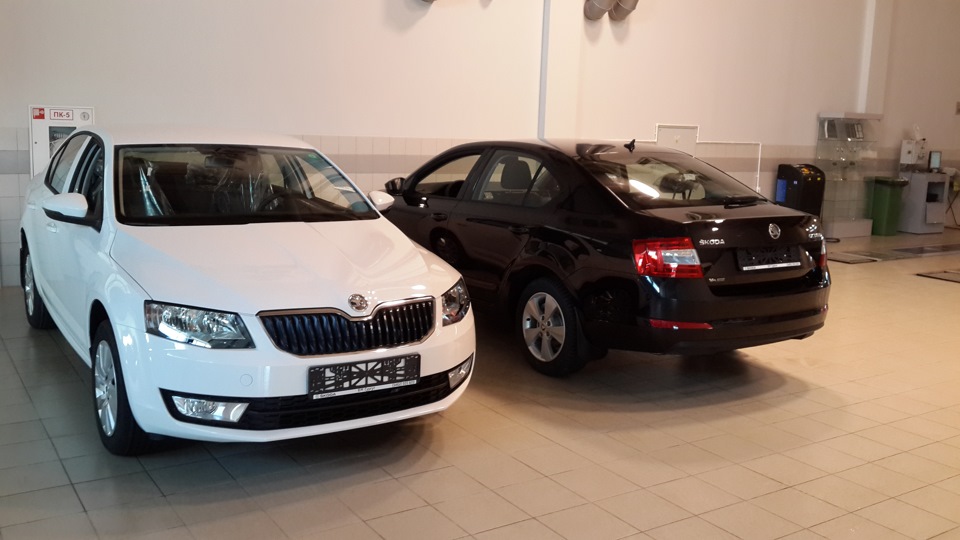 Фото в бортжурнале Skoda Octavia A7 Mk3
