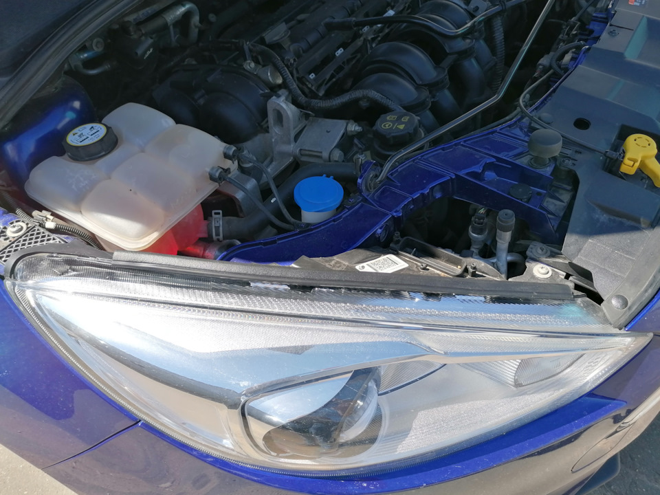 Фото в бортжурнале Ford Focus Hatchback III