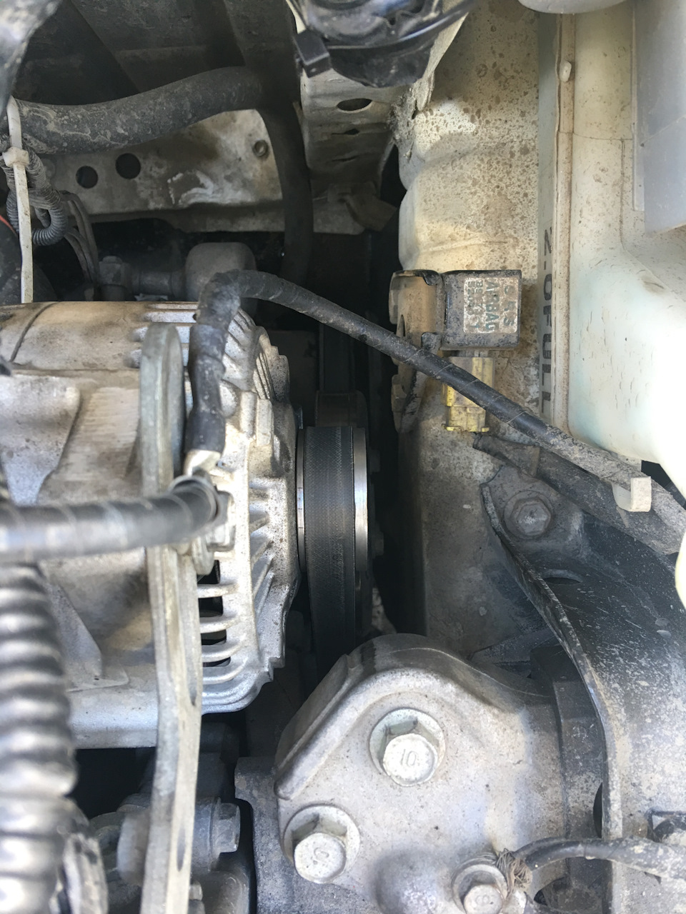 Расположение — Toyota Probox