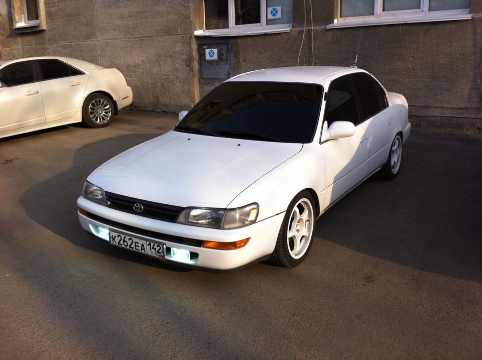 Фото в бортжурнале Toyota Corolla (100)