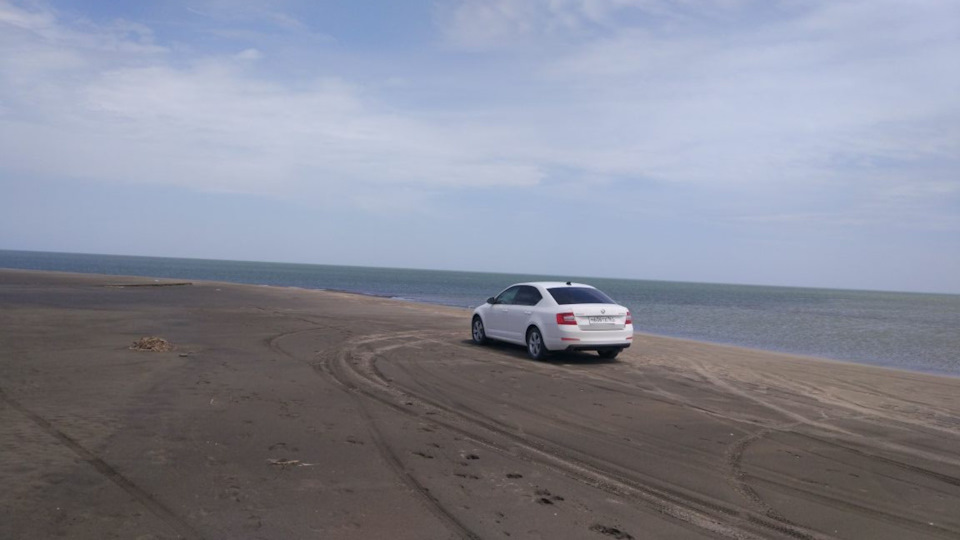 Skoda Octavia 1.2 TSI СHIPET