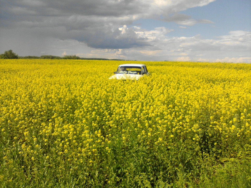 Фото в бортжурнале Lada 21053