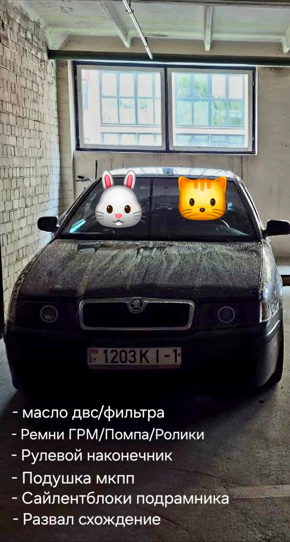 Фото в бортжурнале Skoda Octavia A4 Mk1