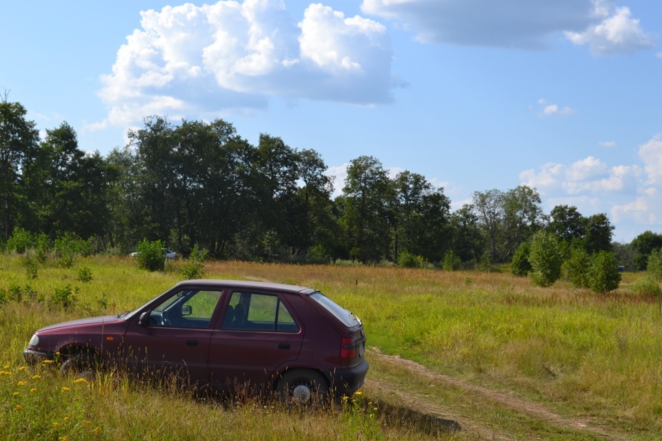Фото в бортжурнале Skoda Felicia