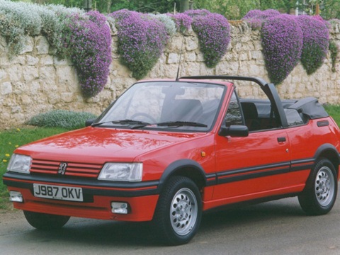 Фото в бортжурнале Peugeot 205
