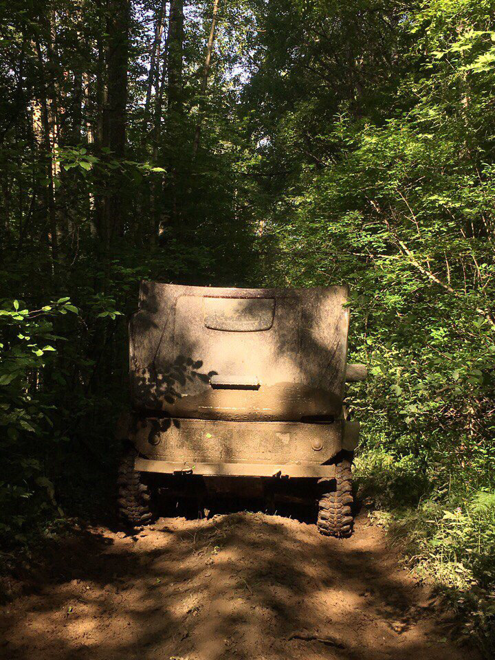 Фото в бортжурнале Lada 4x4 3D