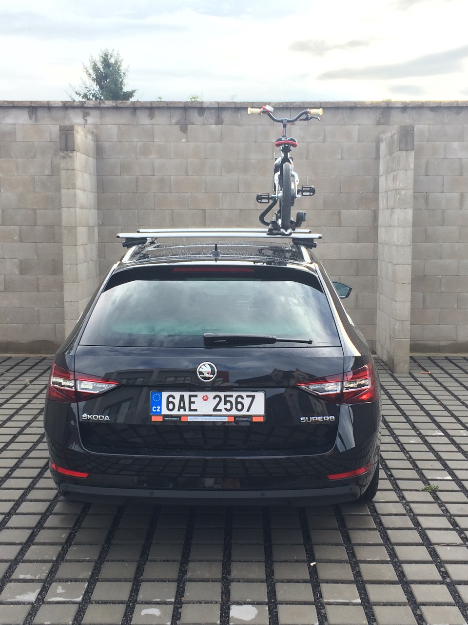 гармонично, мне на крыше нравится больше, чем на жопе — Skoda Superb Combi (Mk3)