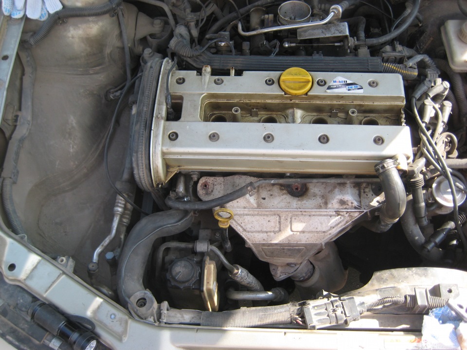 Фото в бортжурнале Opel Vectra B