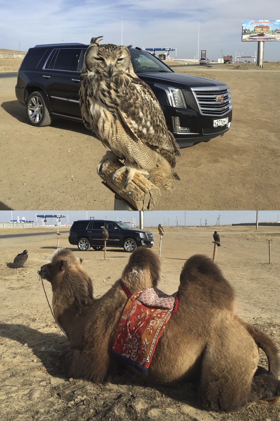 Фото в бортжурнале Cadillac Escalade (4G)