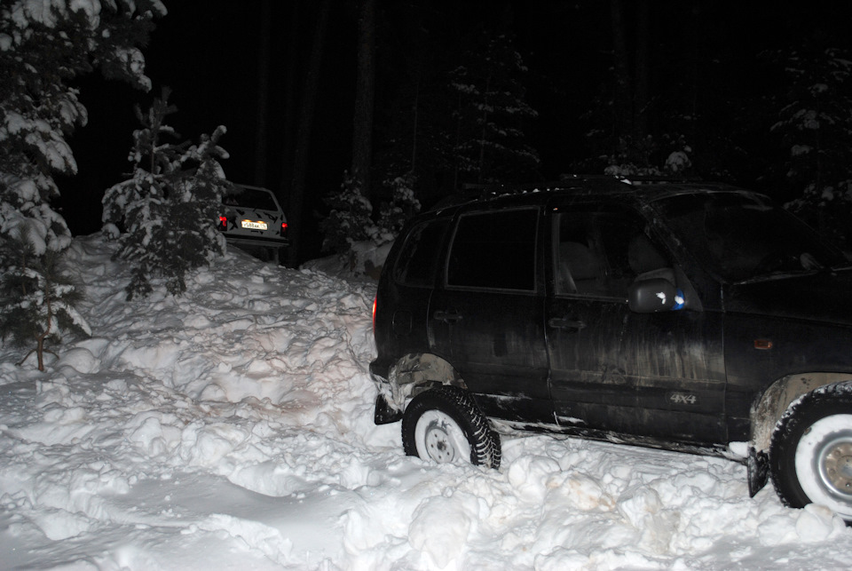 Фото в бортжурнале Lada 4x4 3D