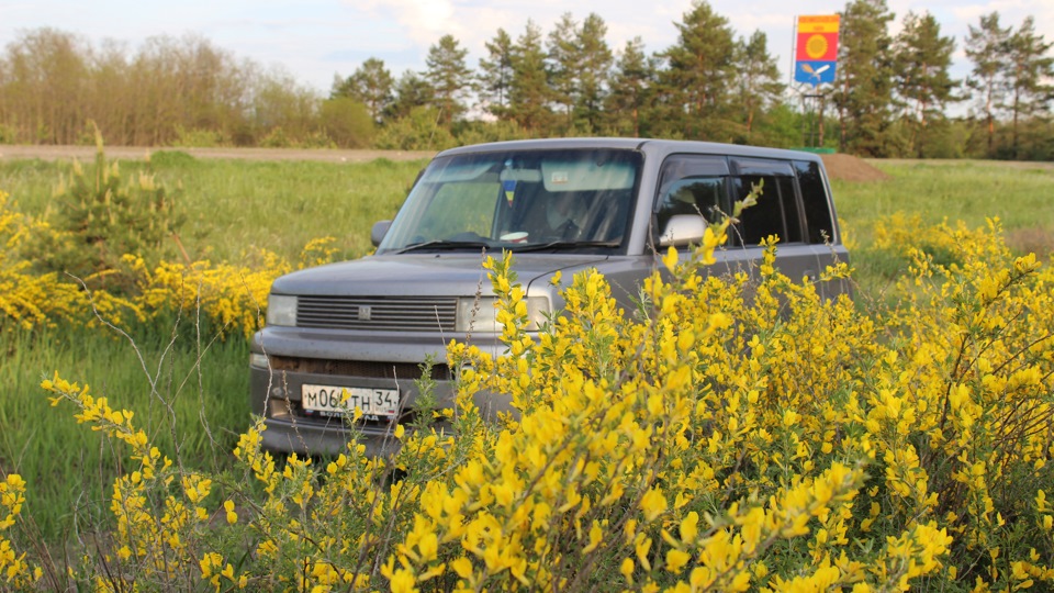 Toyota bB
