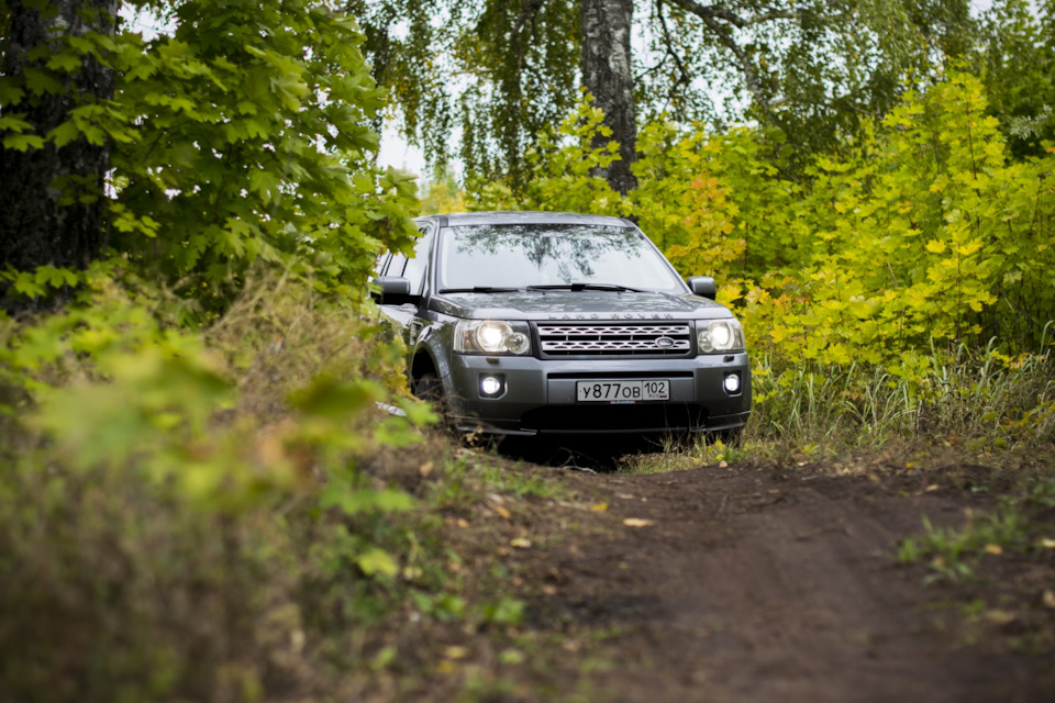 Фото в бортжурнале Land Rover Freelander 2 (L359)