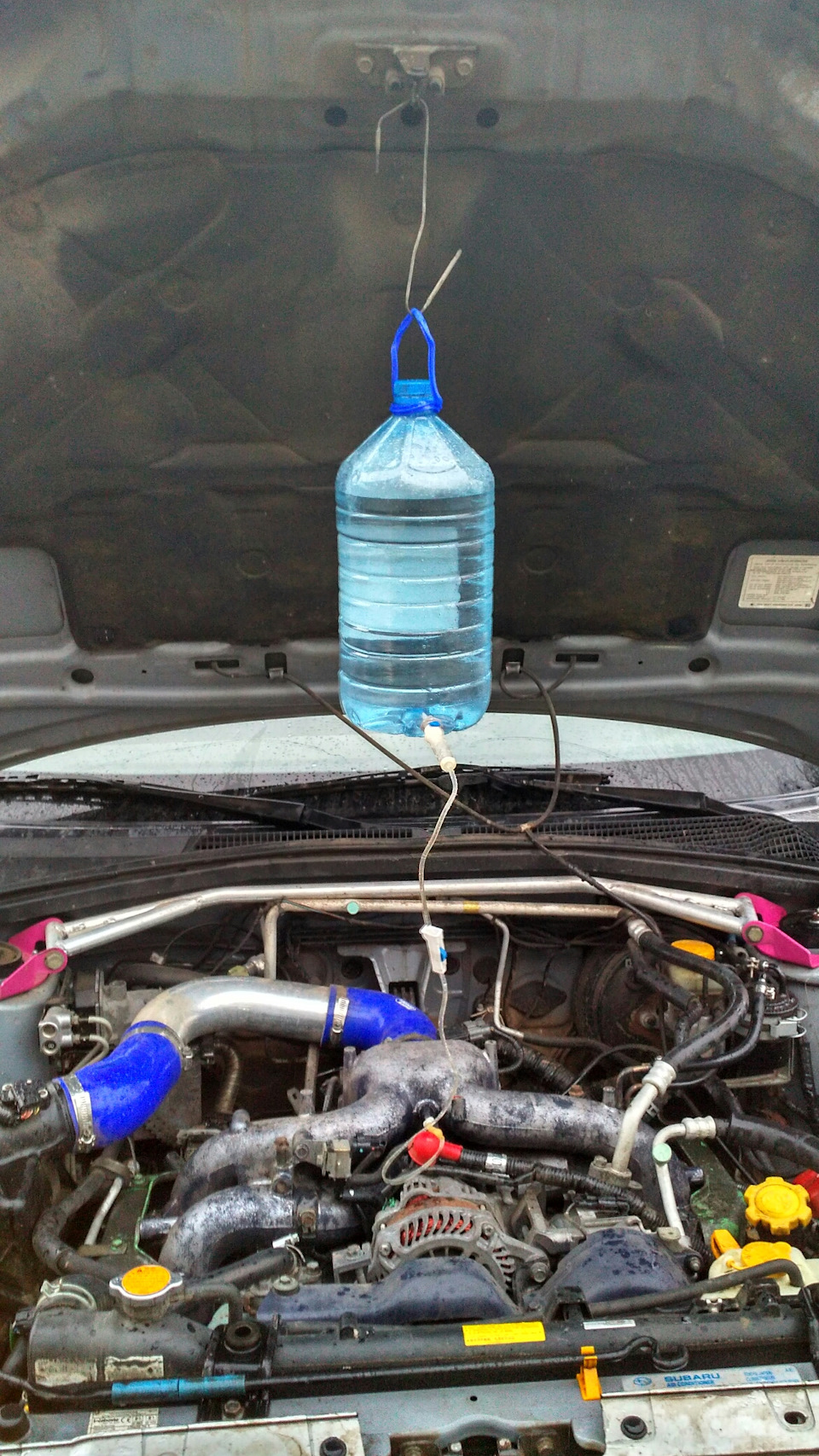 Фото в бортжурнале Subaru Forester (SG)