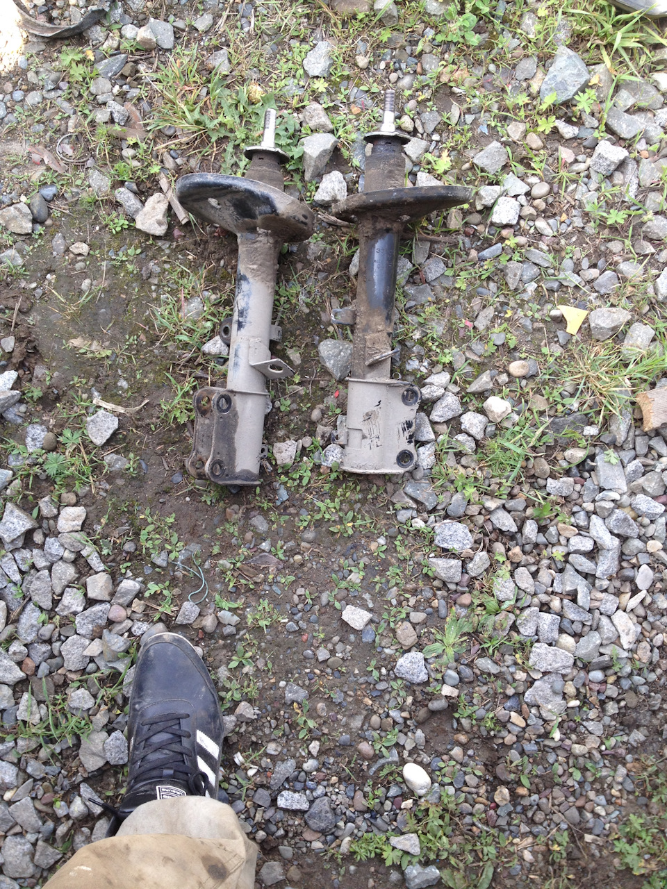 Фото в бортжурнале Toyota Carib (111)