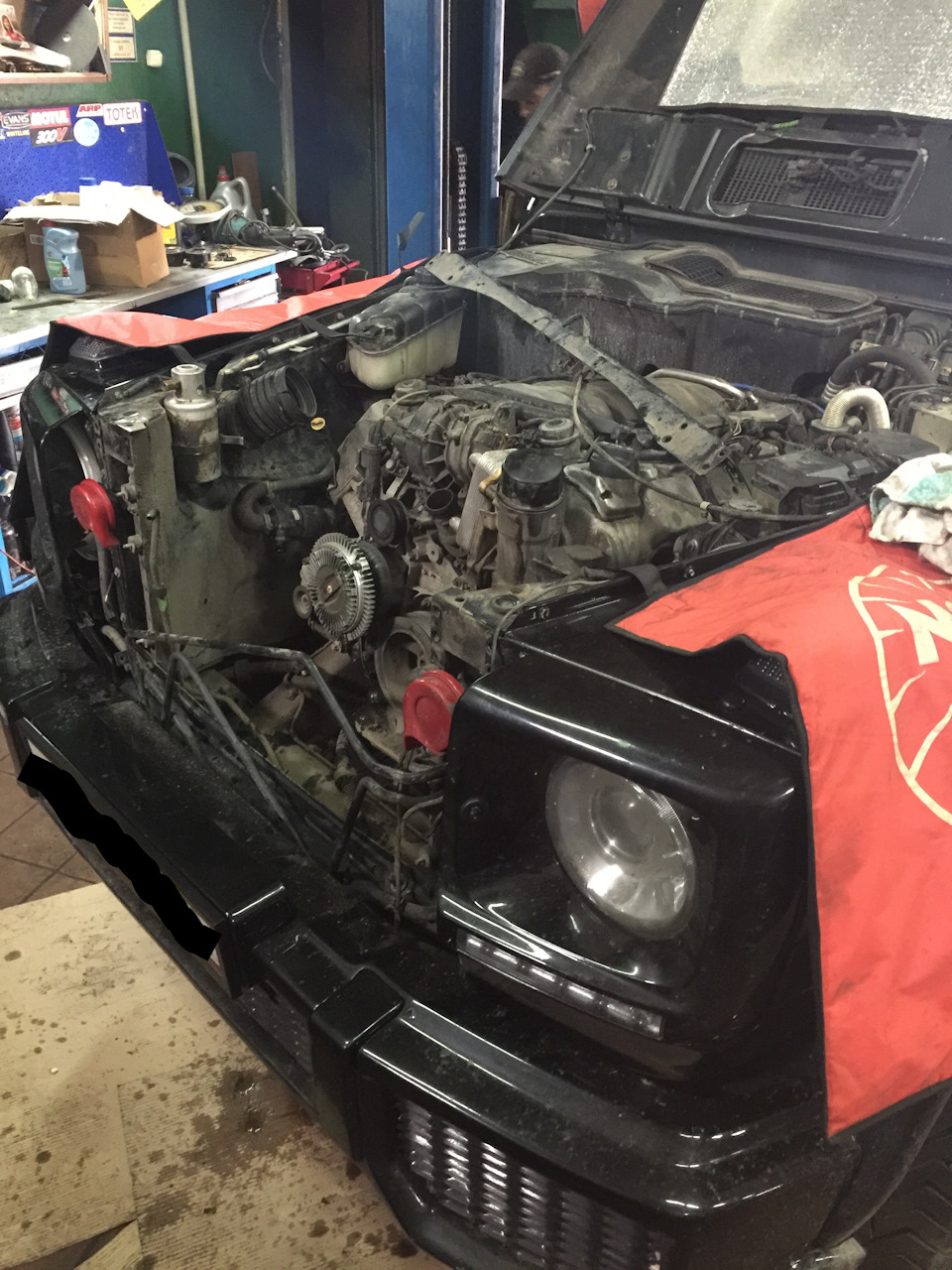 Фото в бортжурнале Mercedes-Benz G-Class (W463 1G)