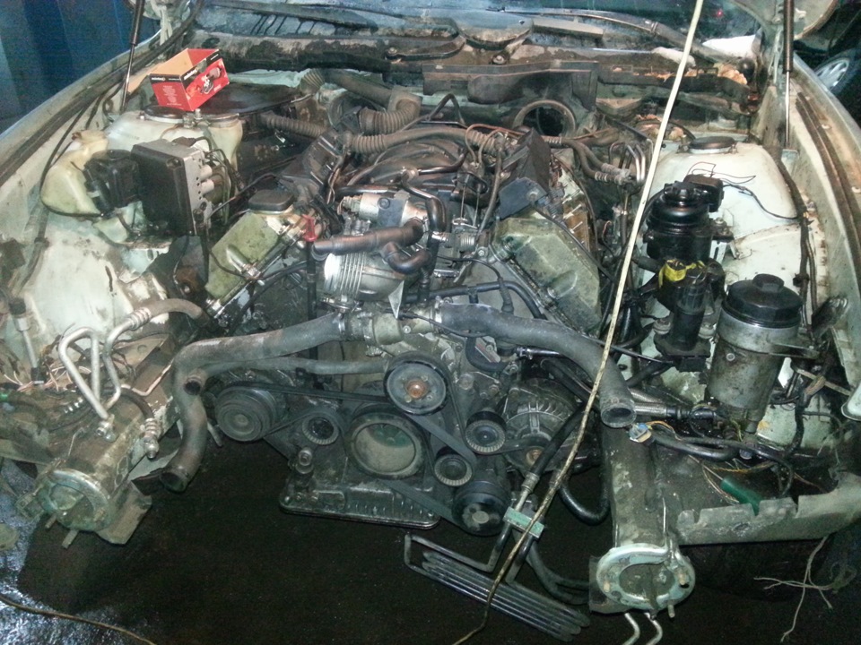 Фото в бортжурнале BMW 5 series (E39)