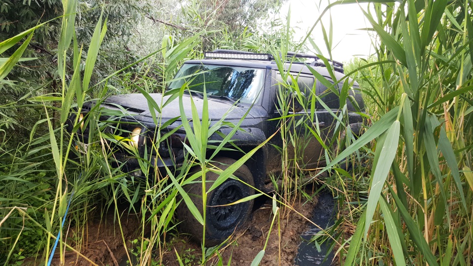 Фото в бортжурнале Toyota FJ Cruiser