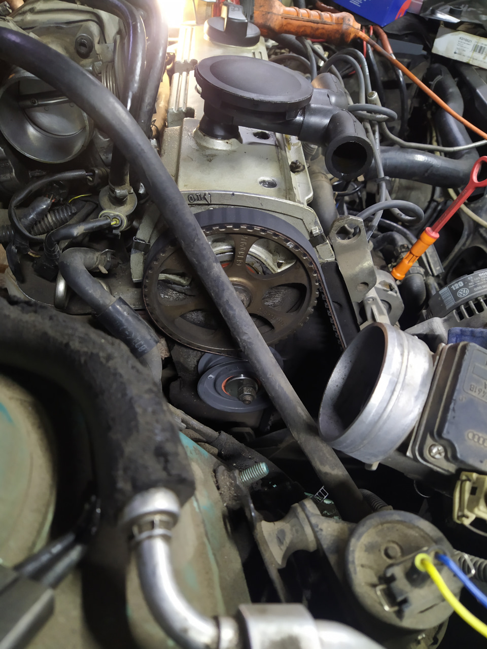 Новый ГРМ на месте) — Volkswagen Passat Variant (B4)
