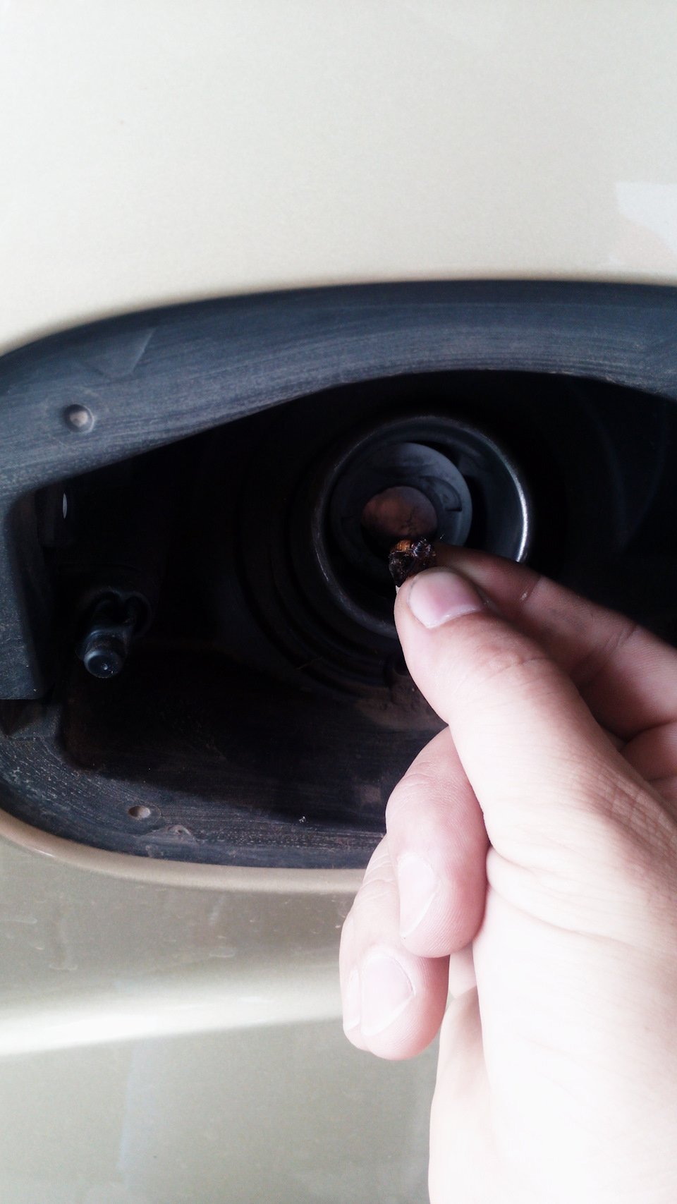Фото в бортжурнале Ford S-Max (1G)