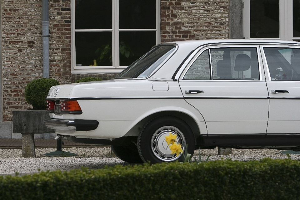 Фото в бортжурнале Mercedes-Benz W123