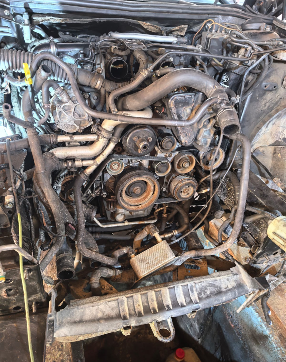 Фото в бортжурнале Land Rover Range Rover (3G)